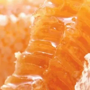 Βιολογικό Μέλι Μανούκα