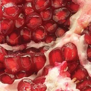 Βιολογικό Ρόδι