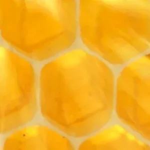 Βιολογικός Βασιλικός Πολτός