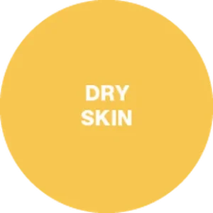 Ξηρό Δέρμα